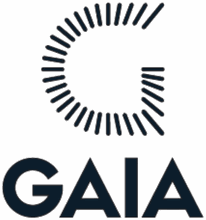 GAIA — Georgian Aesthetic International Association